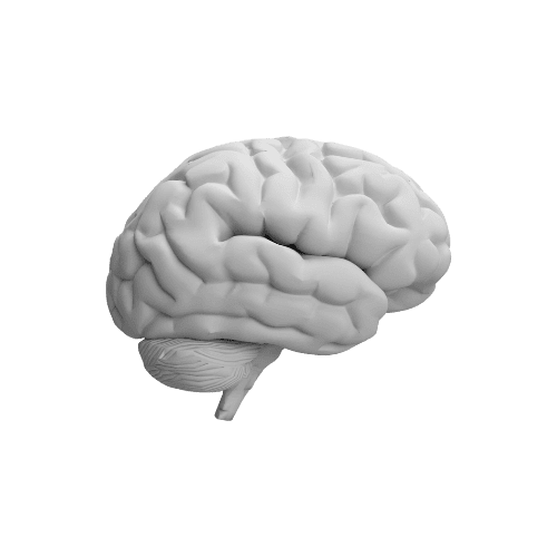 Abstract illustration of interconnected brains and neural pathways, symbolizing Holy Evolution Pharma's comprehensive services and focus on neurological care.